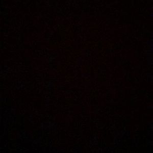 Meet your Posher, Max